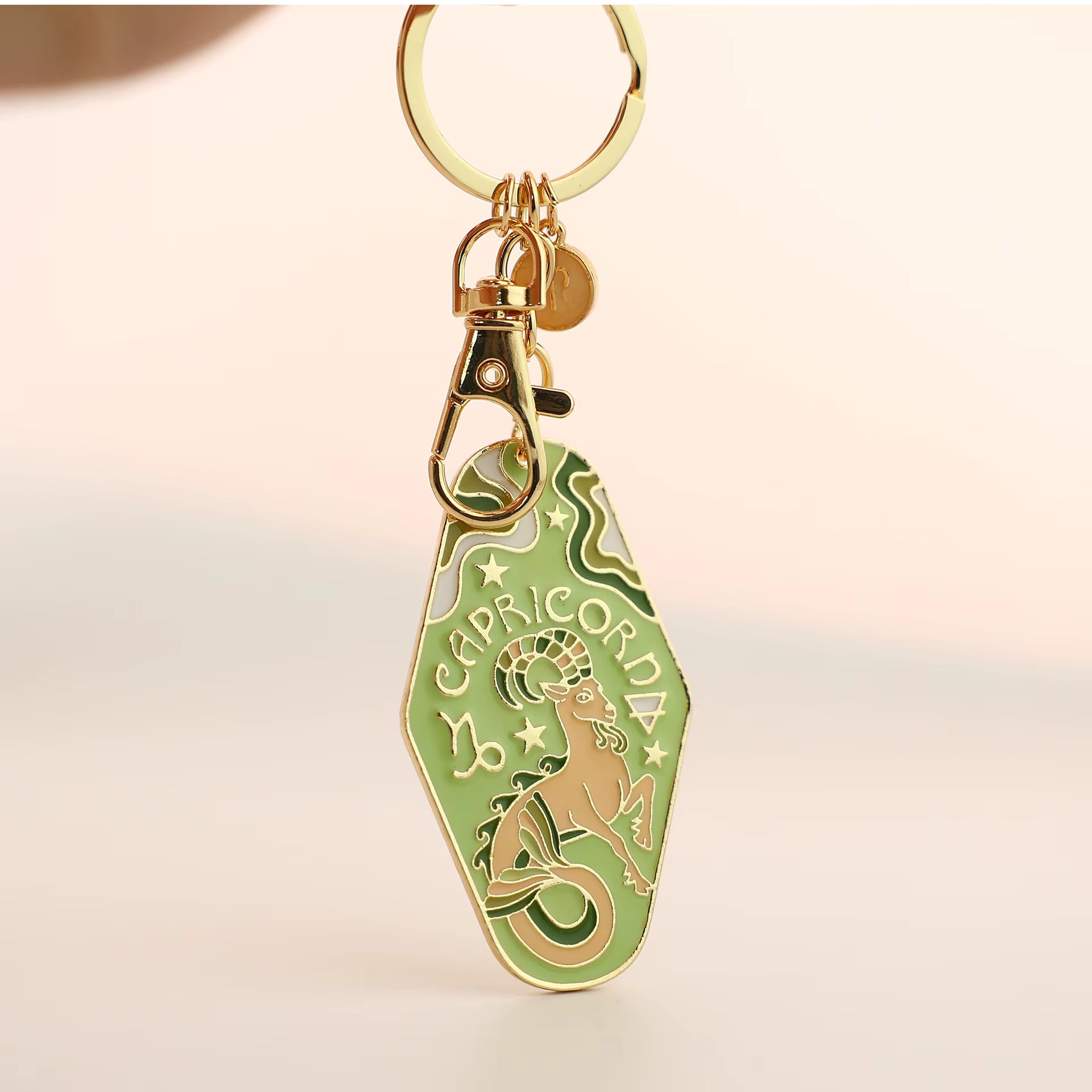 Zodiac Charms