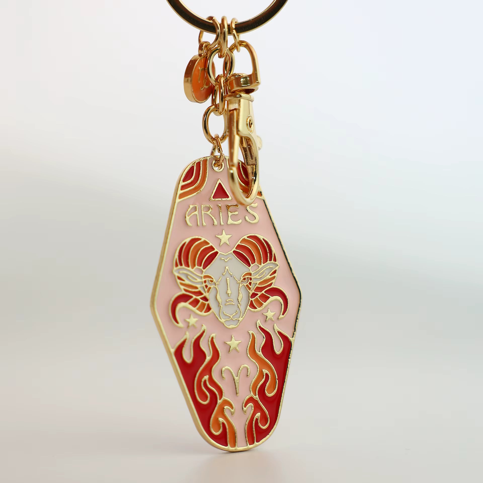 Zodiac Charms